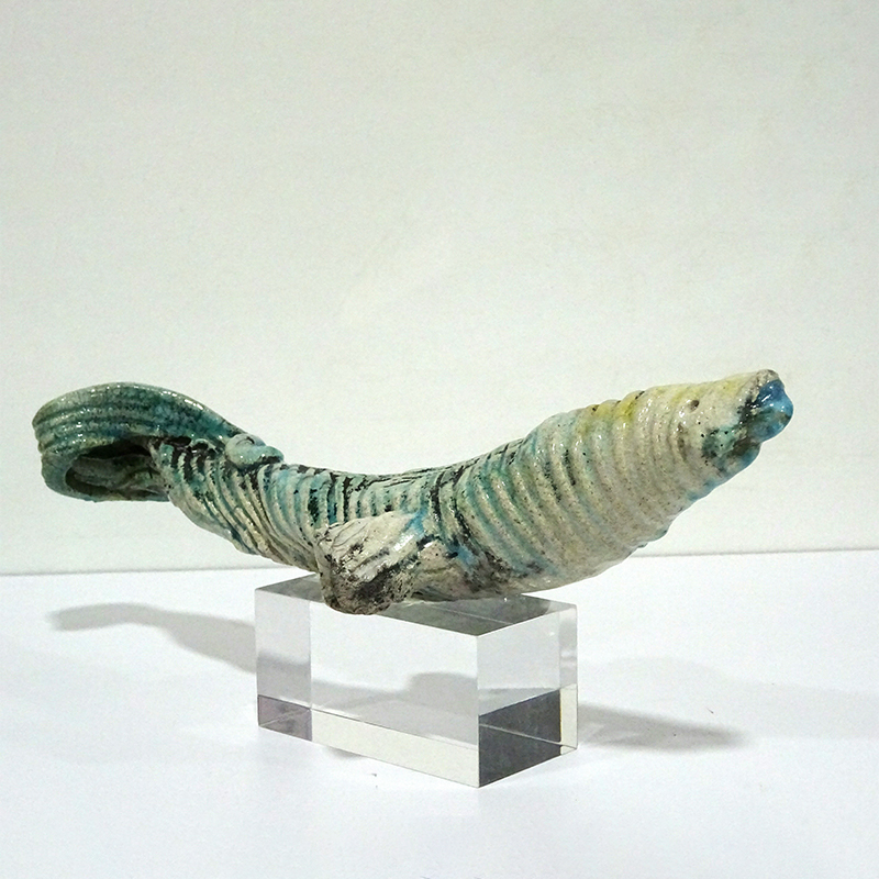 _0001_PEZ LAGARTO 2