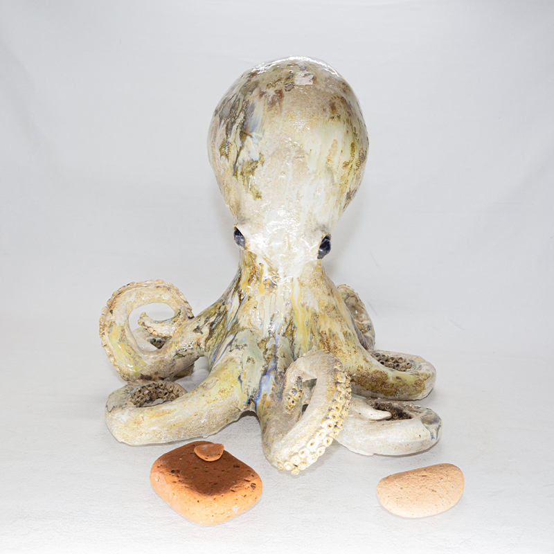 _0035_PULPO1~1